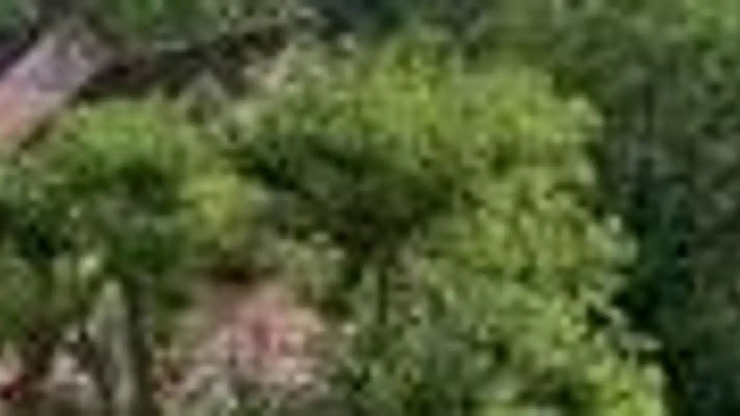 Wohnung mieten - Birmensdorferstrasse 527, 8055 Zürich