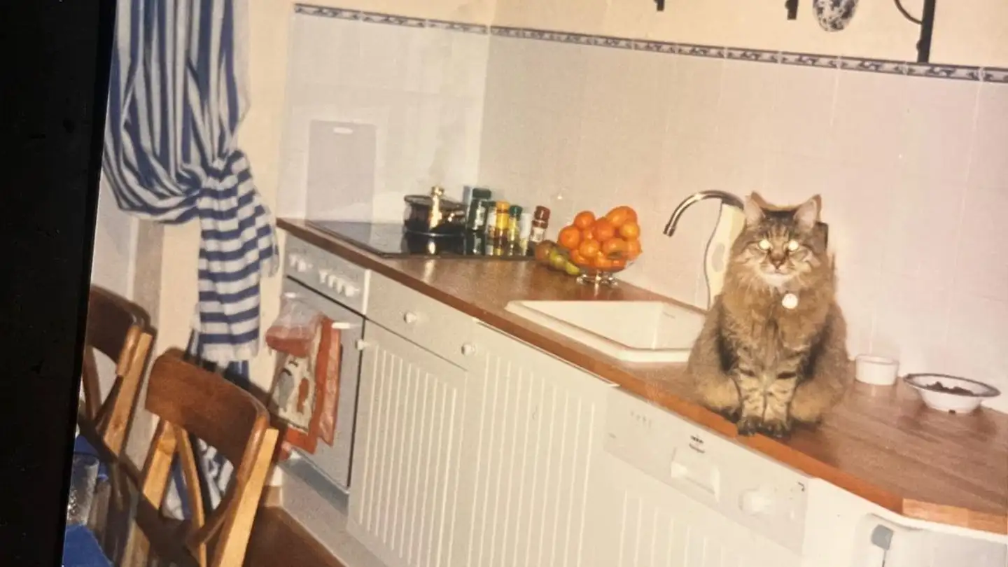 Maison individuelle à louer - 1148 L'Isle - Photo 4