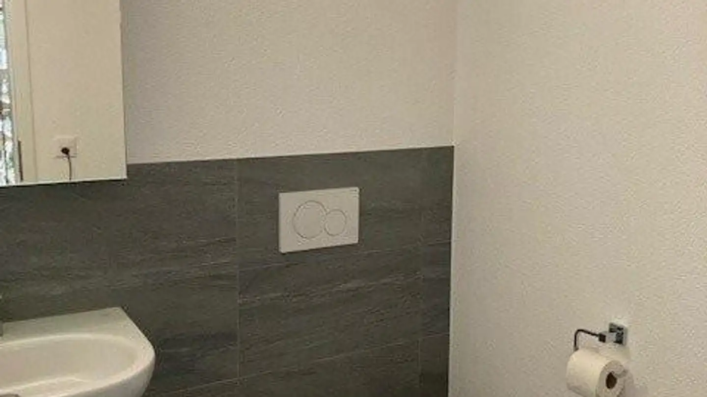 Commercial for rent - Amriswilerstrasse 43, 9320 Frasnacht - Photo 4