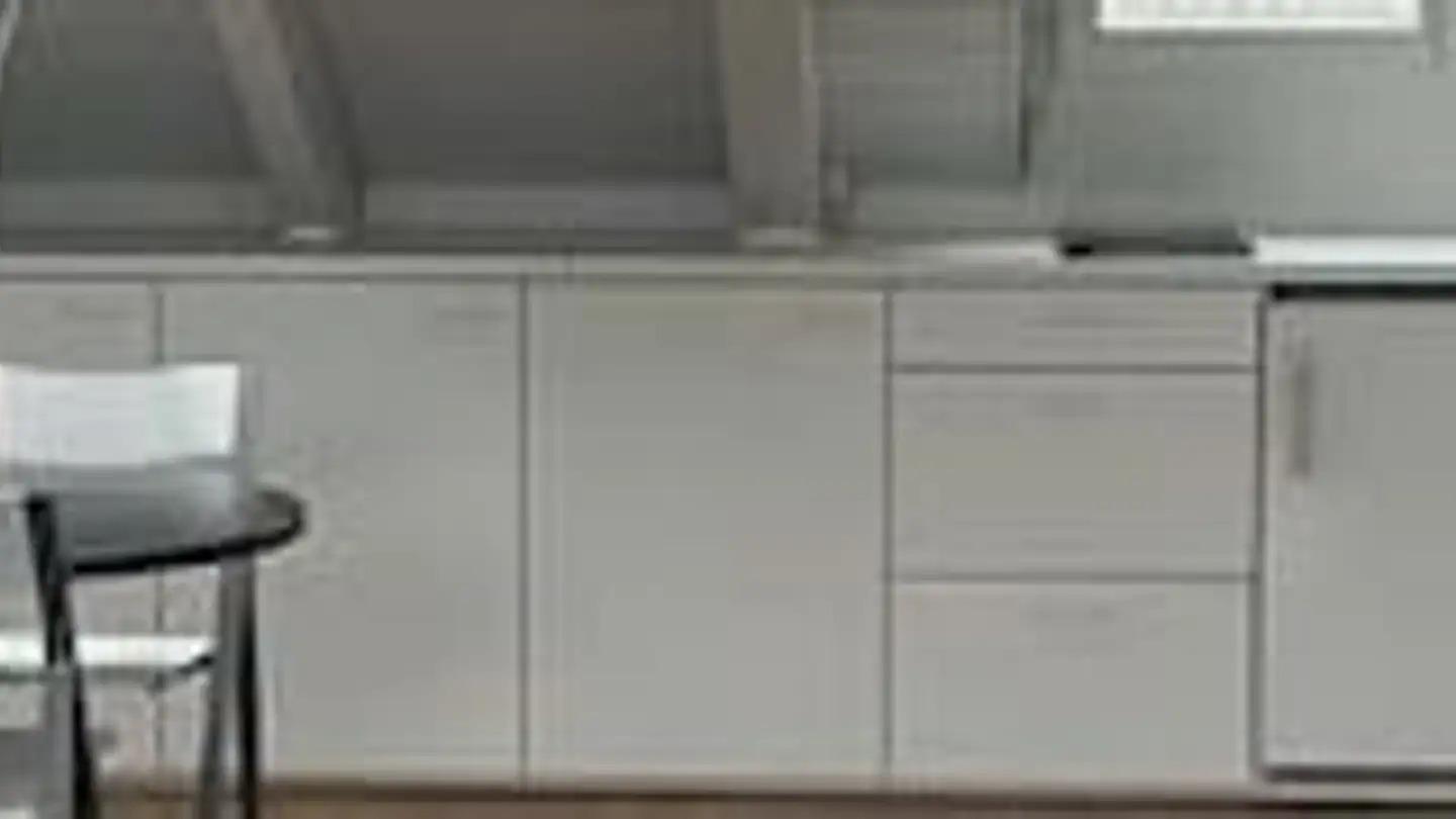 Studio in affitto - 8702 Zollikon