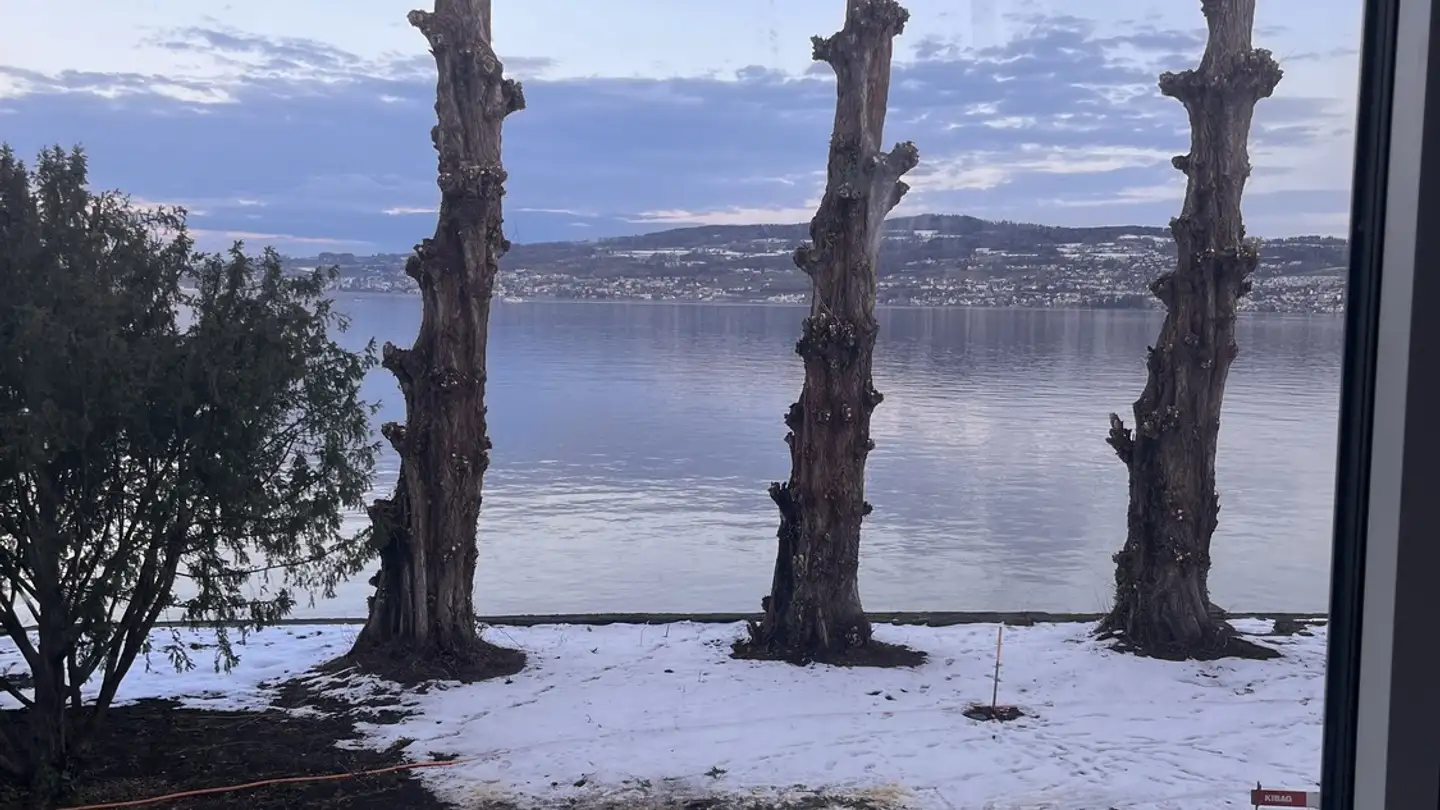 Apartment for rent - Giessen 6, 8820 Wädenswil - Photo 4