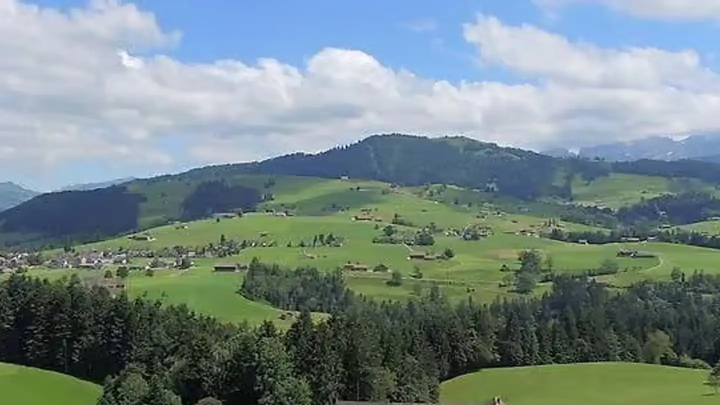 Maison individuelle à louer - Steblenstrasse 44, 9104 Waldstatt