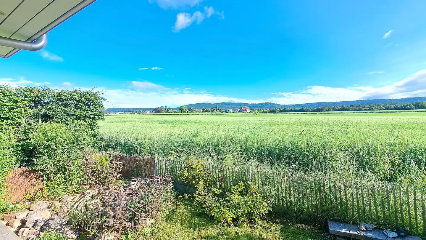 Maison individuelle à vendre - In Der Eich 7a, 4242 Laufen