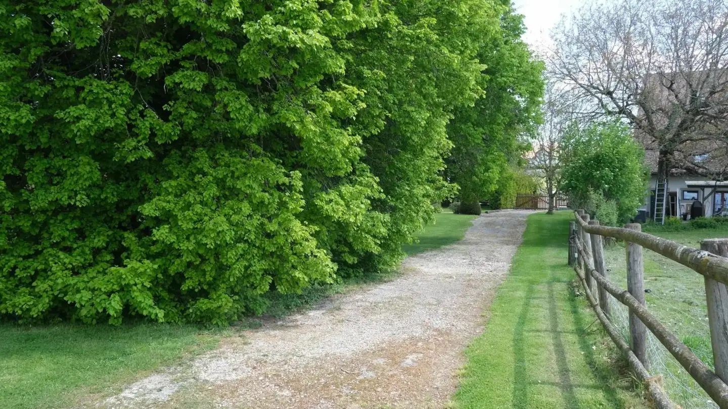 Constructible plot for sale - 1418 Vuarrens - Photo 4
