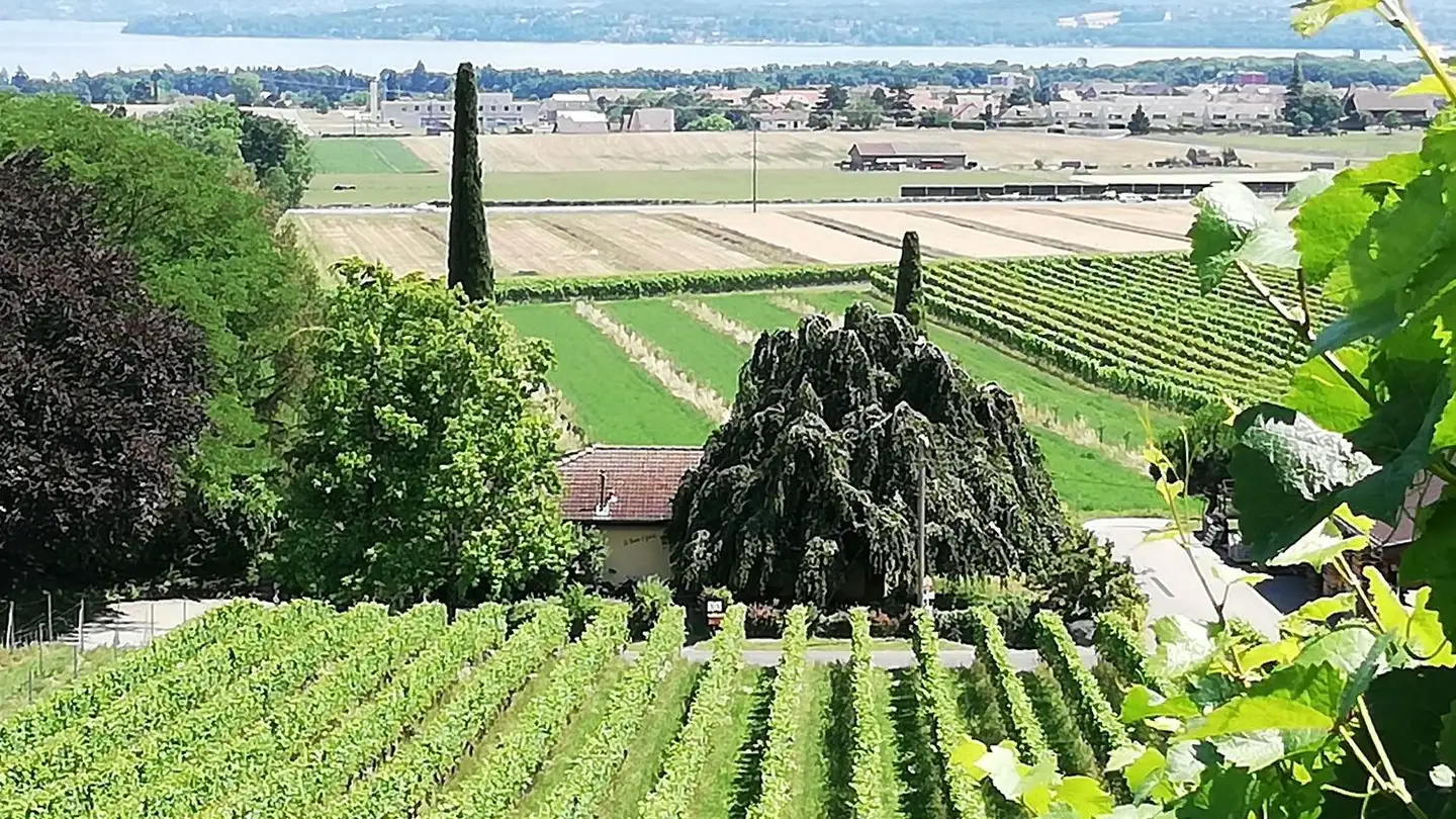 Villa mieten - En Marcins 6, 1196 Gland - Foto 2