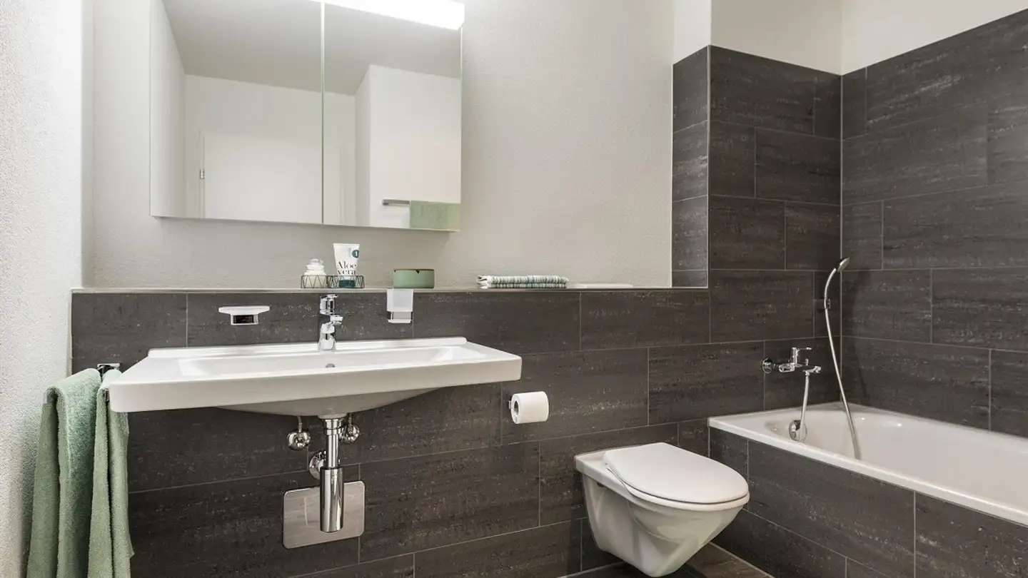 Apartment for rent - Schöntalstrasse 21, 9323 Steinach - Photo 3