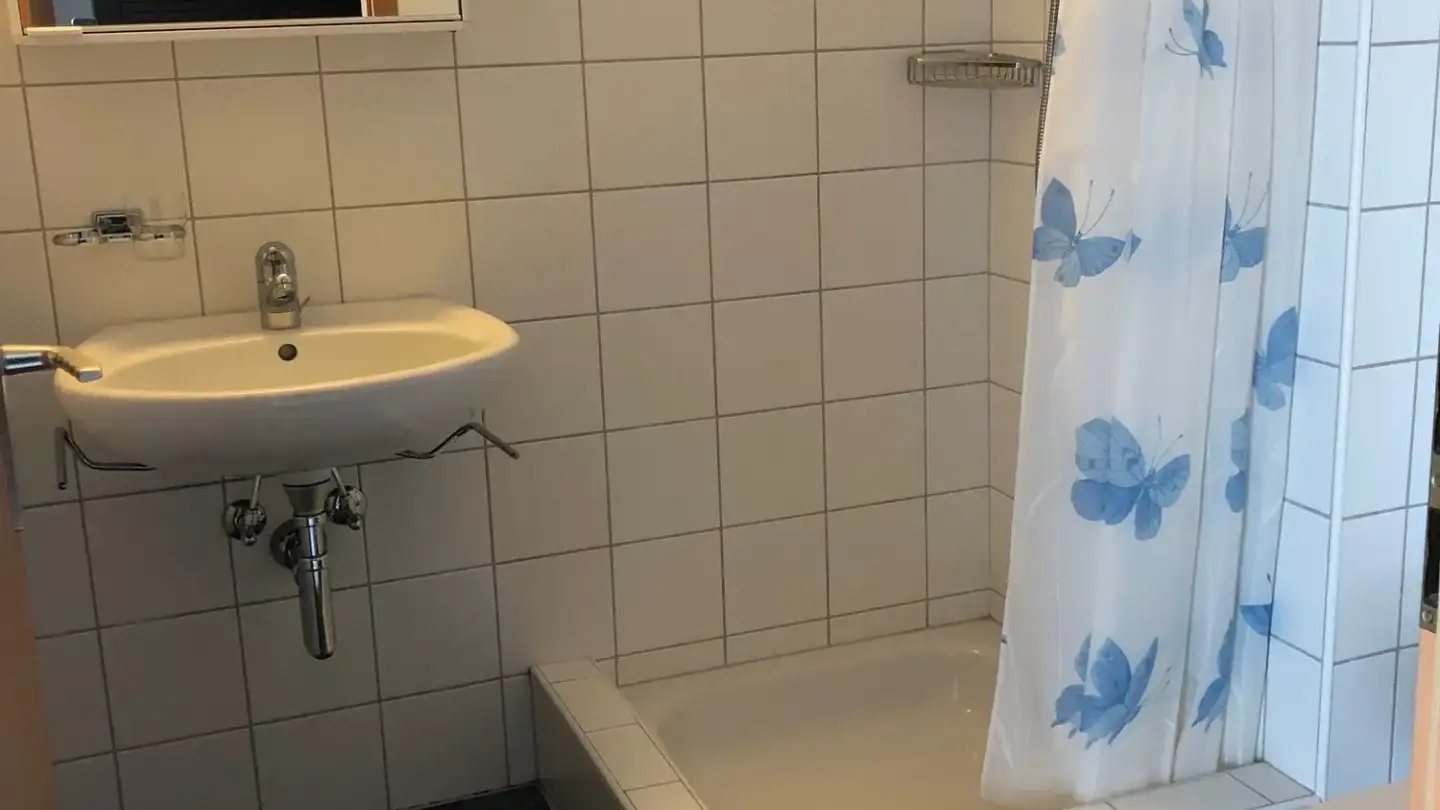 Studio in affitto - Hinterhof 1, 5412 Gebenstorf - Foto 4