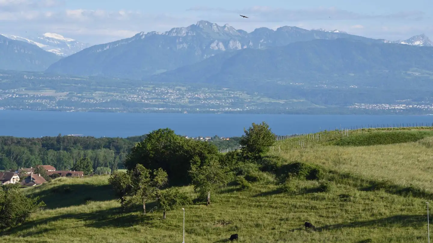 Single house for sale - 1169 Yens