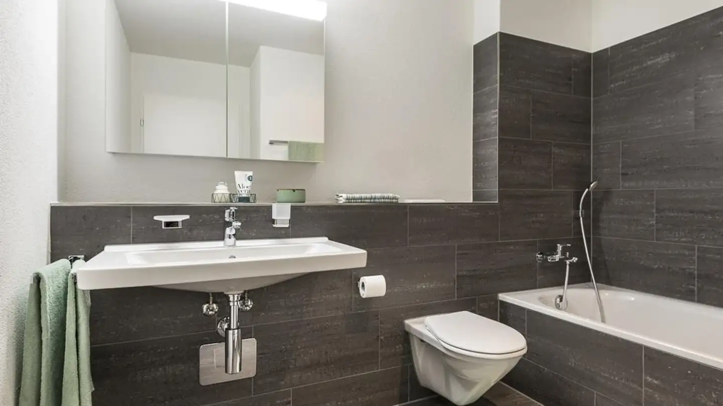 Apartment for rent - Schöntalstrasse 21, 9323 Steinach - Photo 3