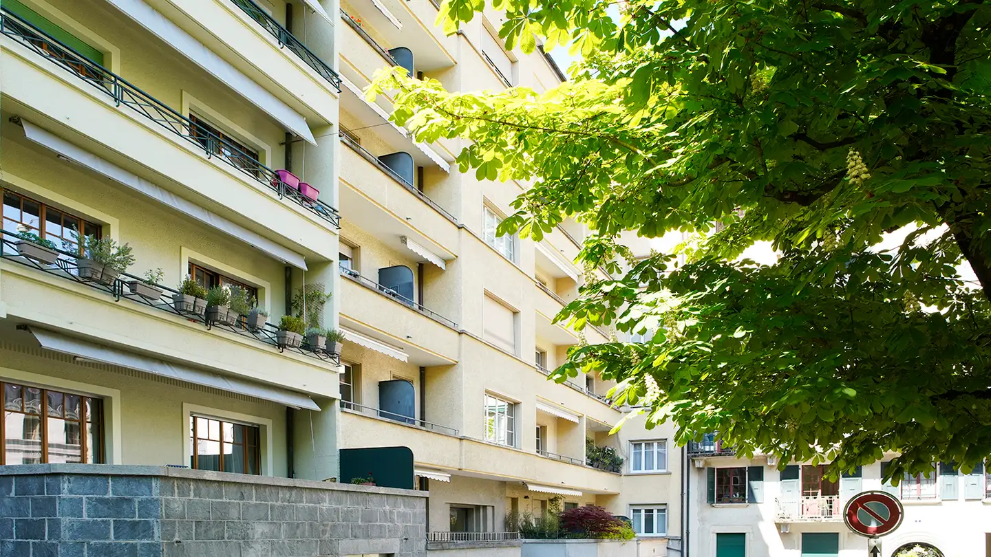 Appartement à louer - Rue Henri- Mussard 10, 1208 Genève