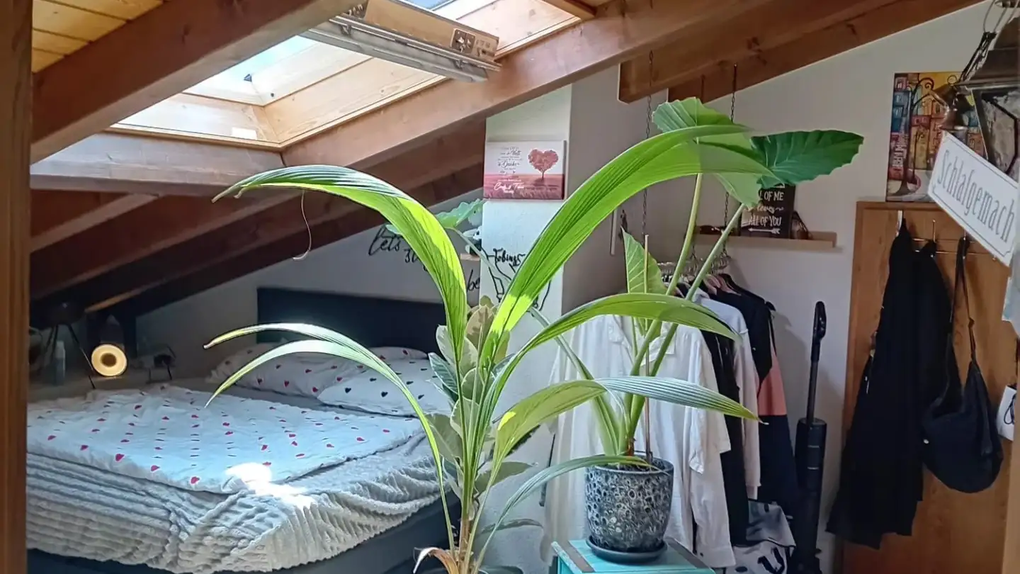 Wohnung mieten - Pletschenstrasse 47, 3952 Susten - Foto 4