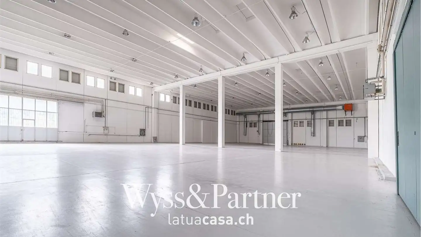 Office space for rent - 6934 Bioggio