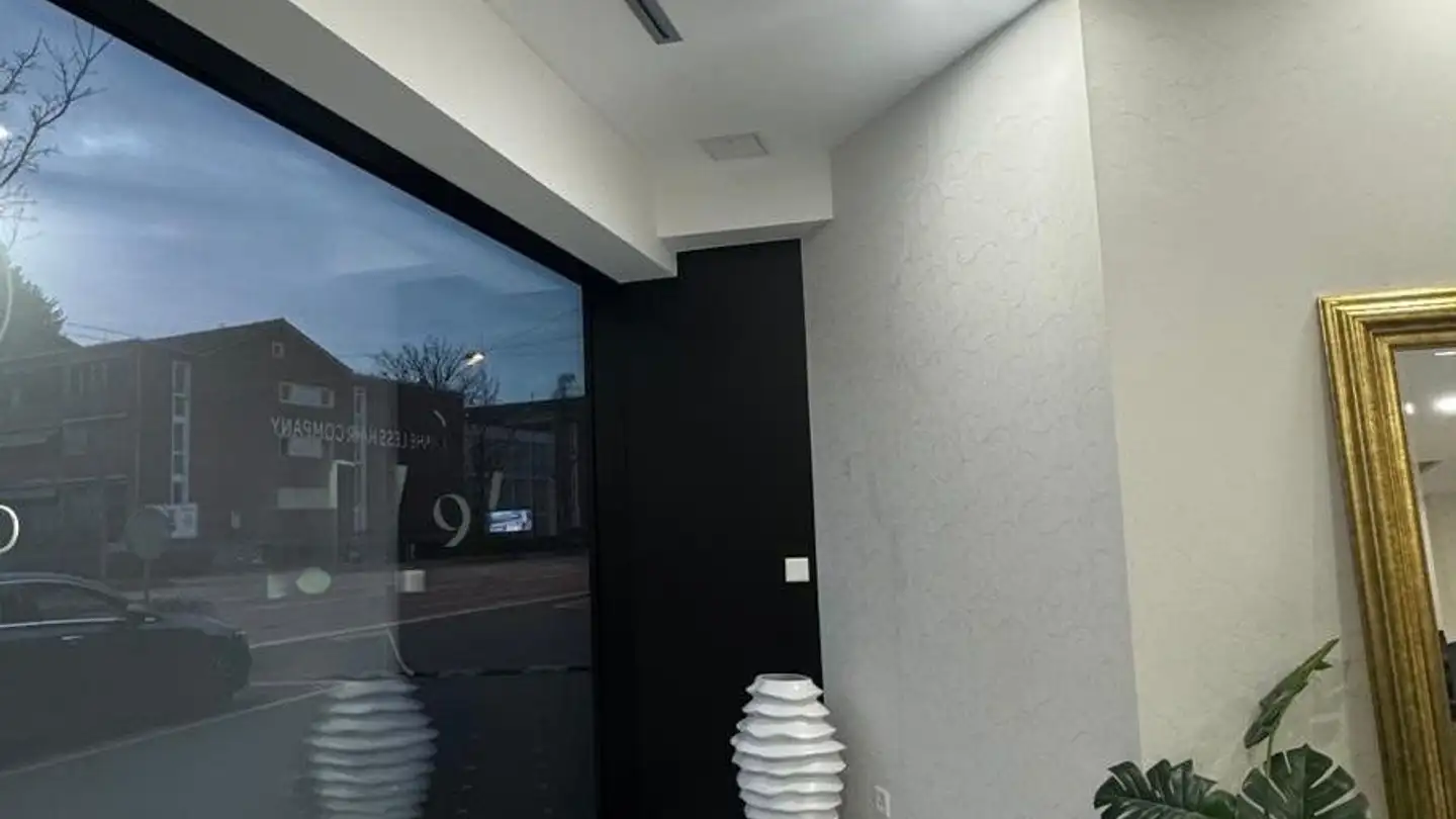 Commerciale in affitto - 8046 Zürich