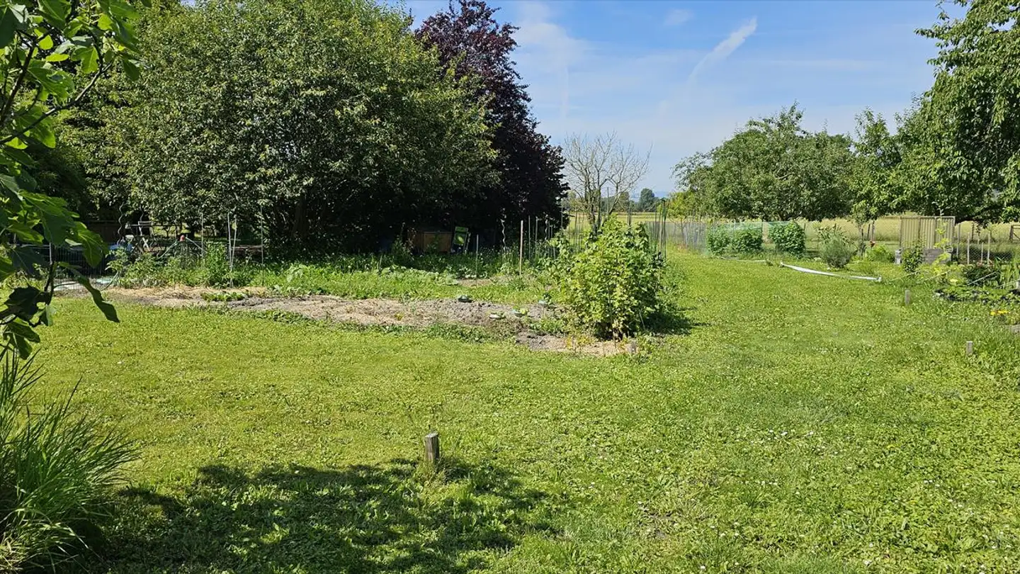 Orto in affitto - Ville 28, 2525 Le Landeron - Photo 2