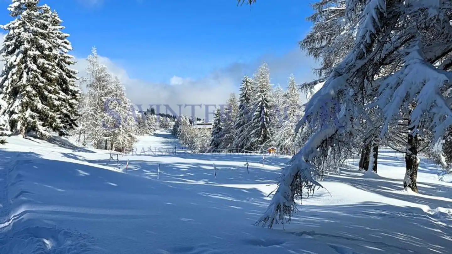 Apartment for sale - 3963 Crans-Montana