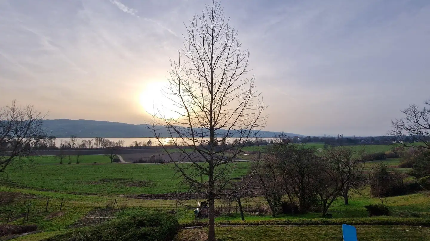 Chambre à louer - Wildsbergstrasse 22, 8606 Greifensee - Photo 3