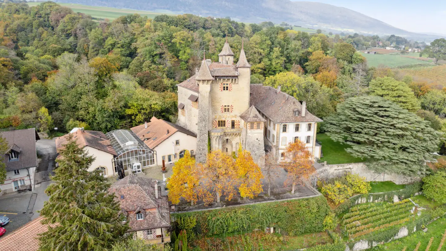 Commerciale in affitto - 2028 Vaumarcus