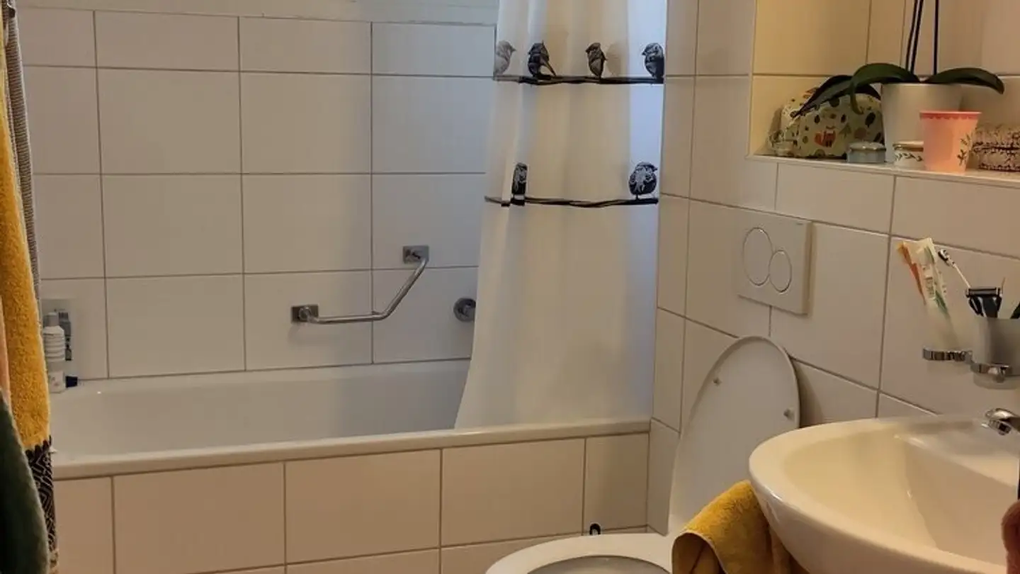 Appartamento in affitto - Chemin Monséjour 11, 1700 Fribourg - Foto 4