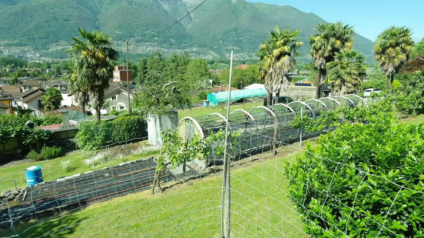 Terreno edificabile in vendita - Via Caràa, 6572 Quartino - Foto 2