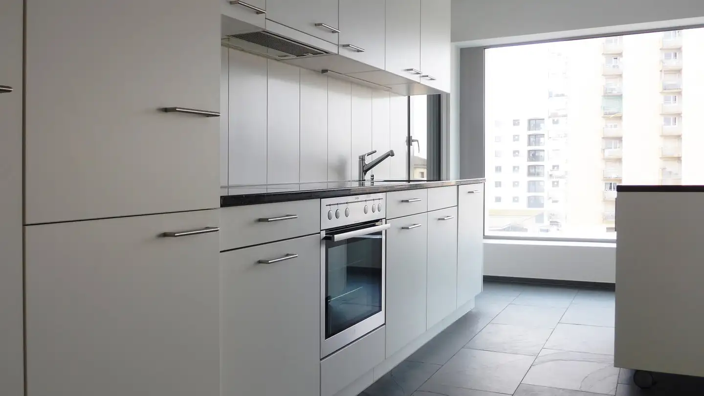 Duplex à louer - Grosswiesenstrasse 167, 8051 Zürich - Photo 3