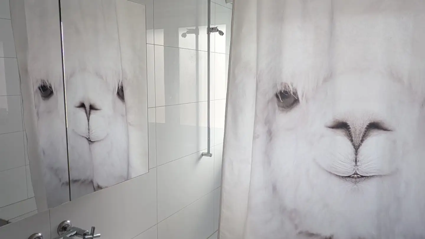 Appartamento in affitto - Freiburgstrasse 62, 3008 Bern - Foto 4