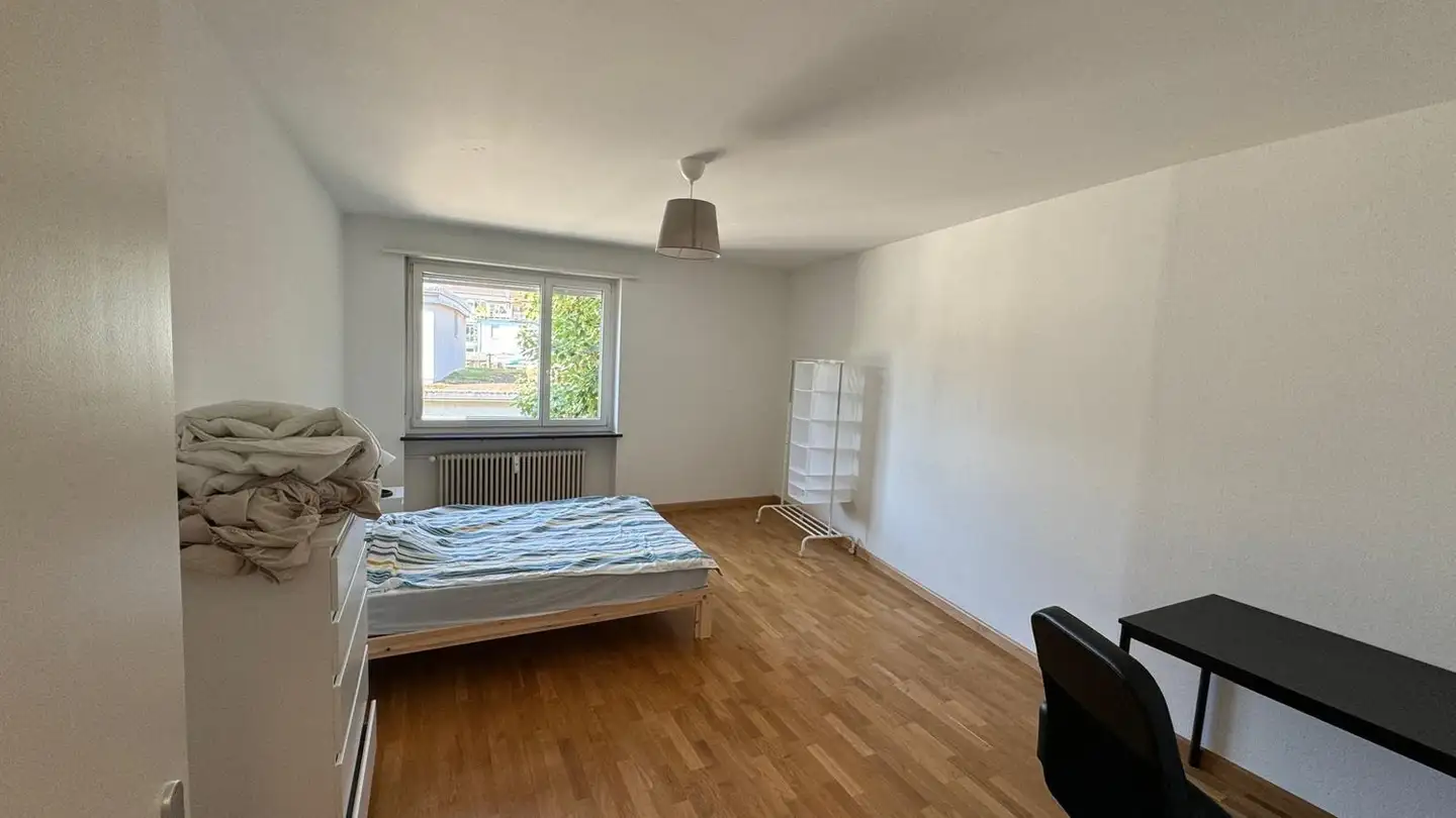 Single room for rent - Leimenstrasse 18, 4051 Basel - Photo 2