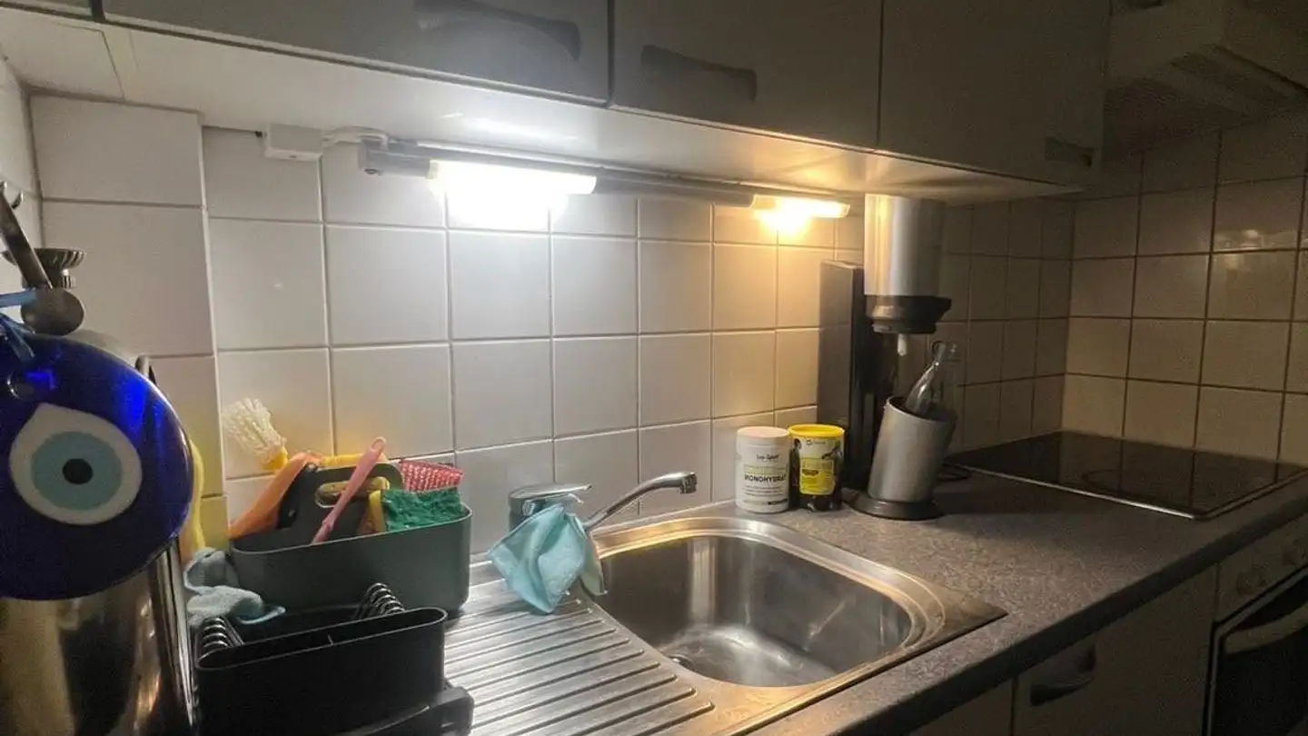 Appartamento in affitto - Fröhlichstrasse, 8008 Zürich - Foto 4