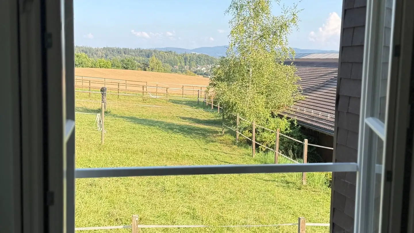 Residential building for rent - Heimenstein 7, 8472 Seuzach