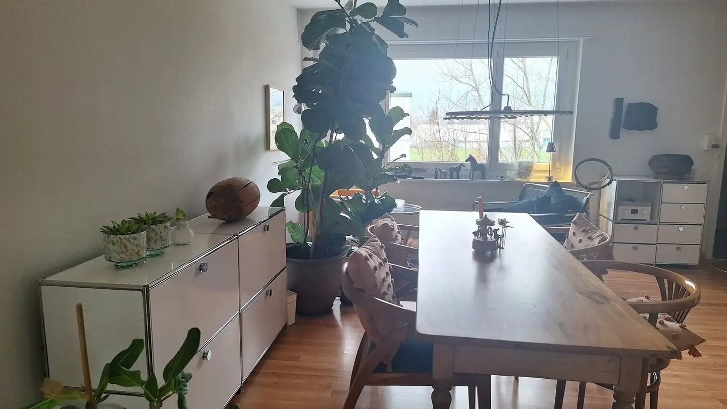 Appartement à louer - Erlimattweg 61, 4600 Olten - Photo 2