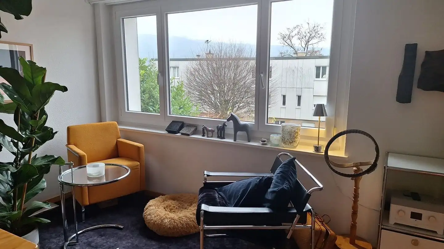 Appartement à louer - Erlimattweg 61, 4600 Olten - Photo 4