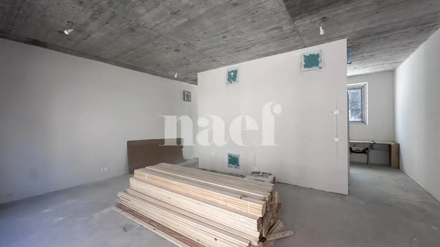 Arcade for rent - Chemin Du Pont-De-Ville 10, 1224 Chêne-Bougeries