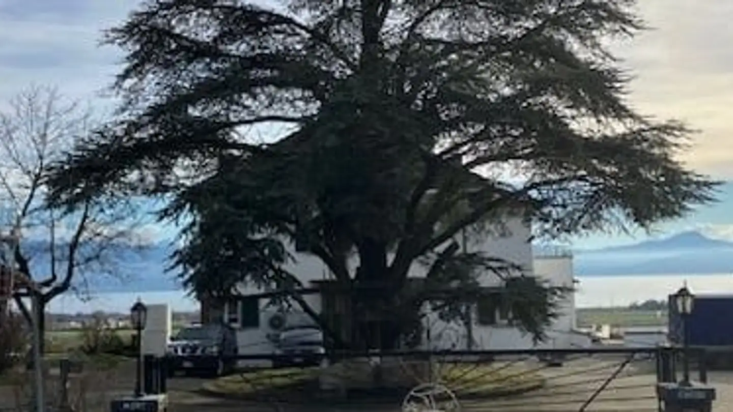 Duplex à louer - Route De Féchy 3, 1170 Aubonne