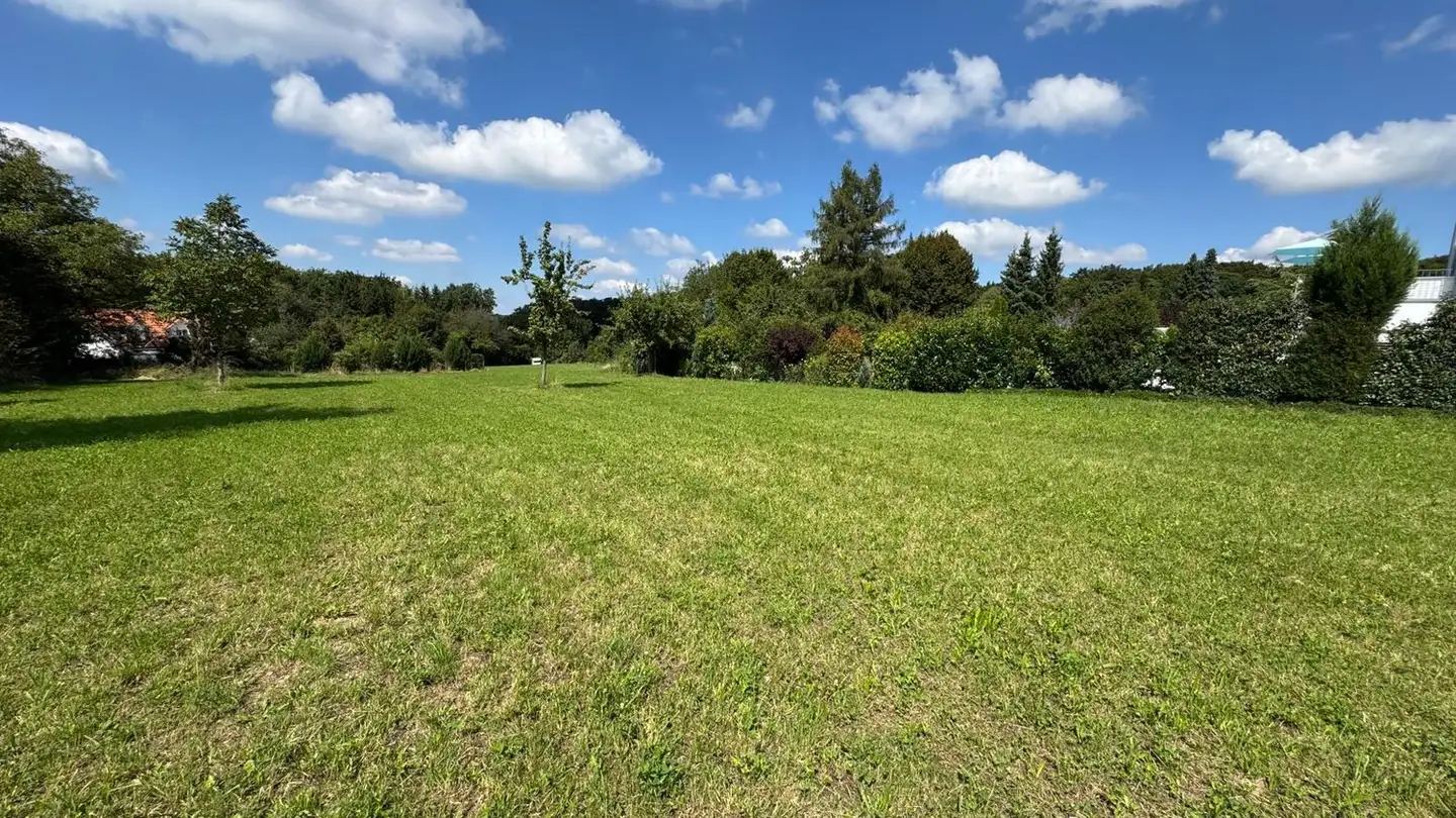 Constructible plot for sale - 4146 Hochwald - Photo 3