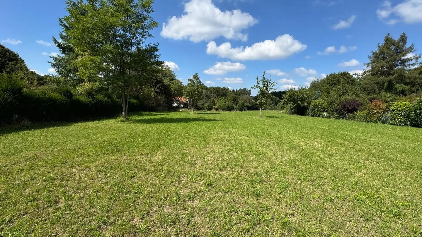 Constructible plot for sale - 4146 Hochwald - Photo 2