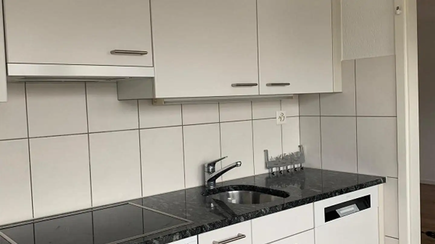 Appartamento in affitto - Furlängeweg 400, 5325 Leibstadt