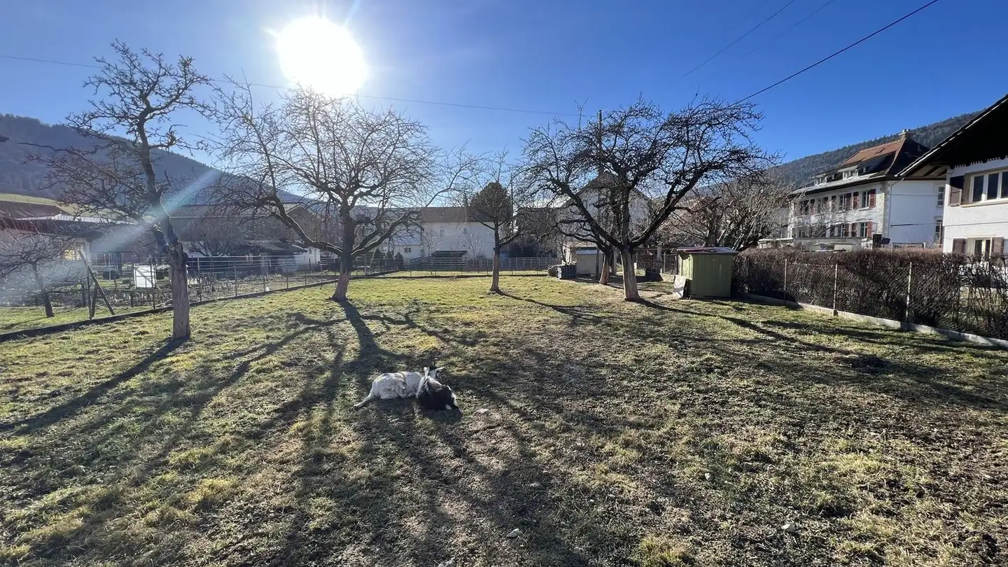 Terreno edificabile in vendita - Le Tombet 2, 2608 Courtelary - Photo 2