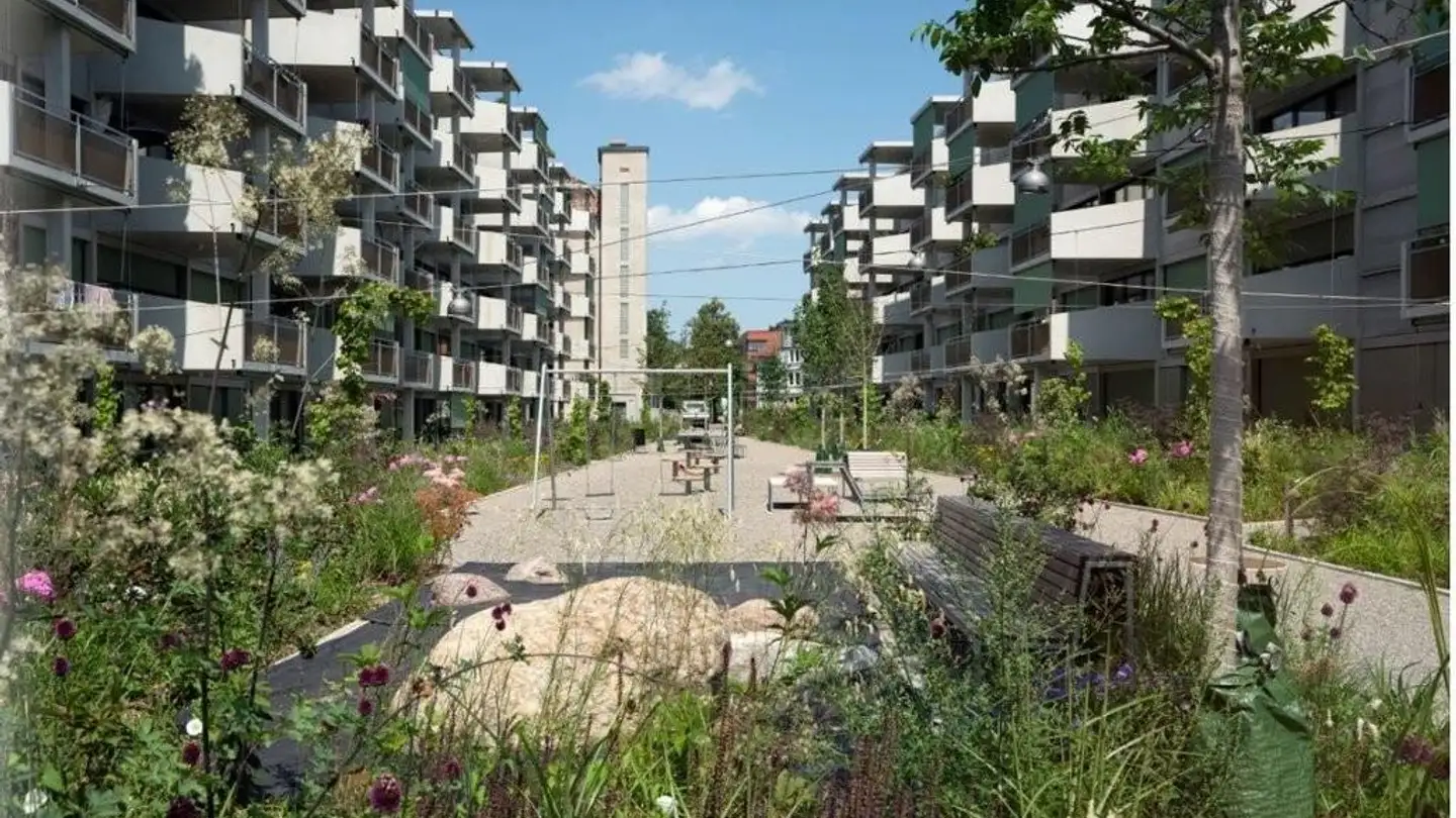 Wohnung mieten - Walkestrasse 30, 8400 Winterthur