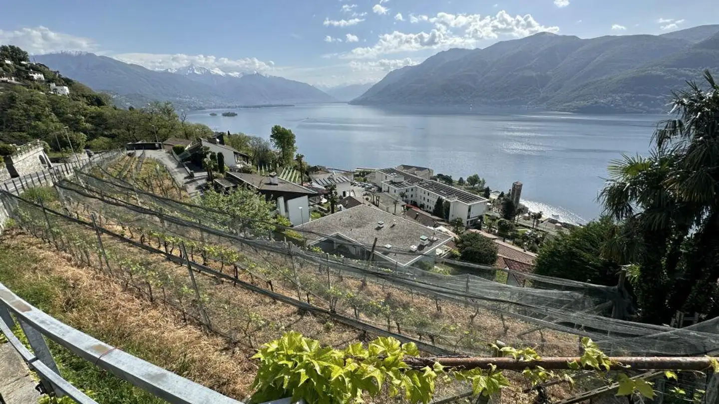 Terrain constructible à vendre - Via San Giorgio, 6614 Brissago