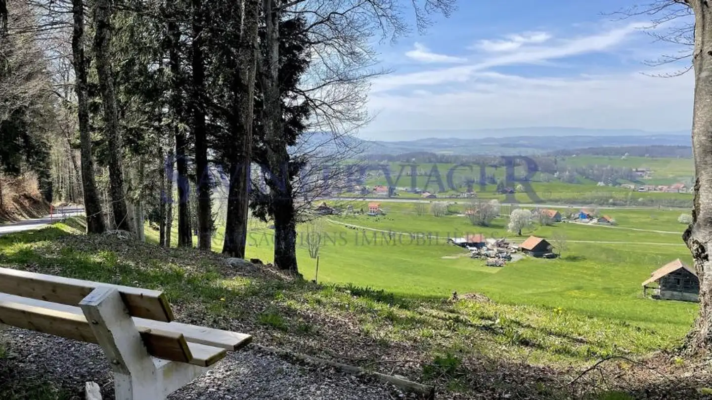 Wohnung kaufen - 1618 Châtel-St-Denis - Foto 4