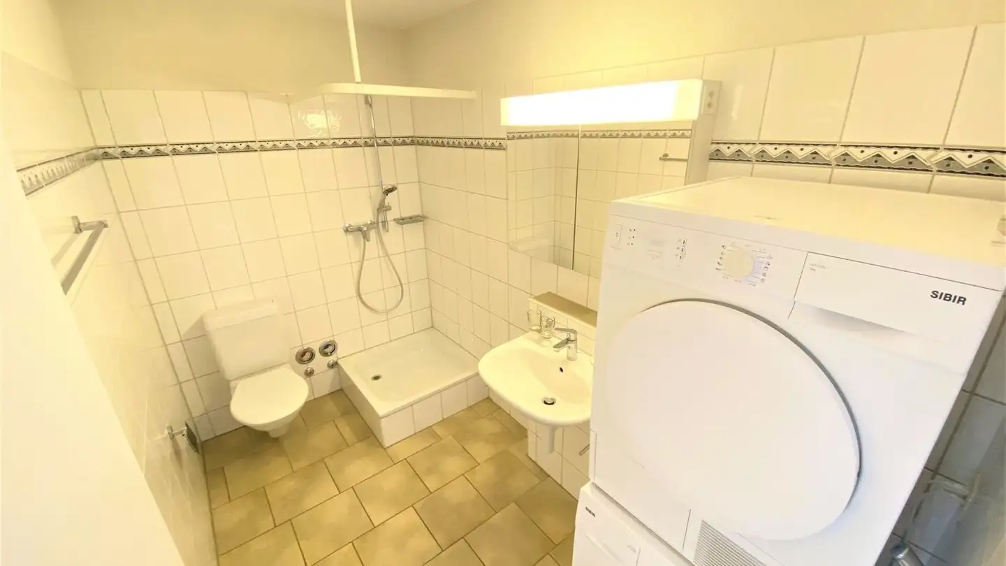 Appartamento in affitto - Arianestrasse 17, 8052 Zürich - Foto 4