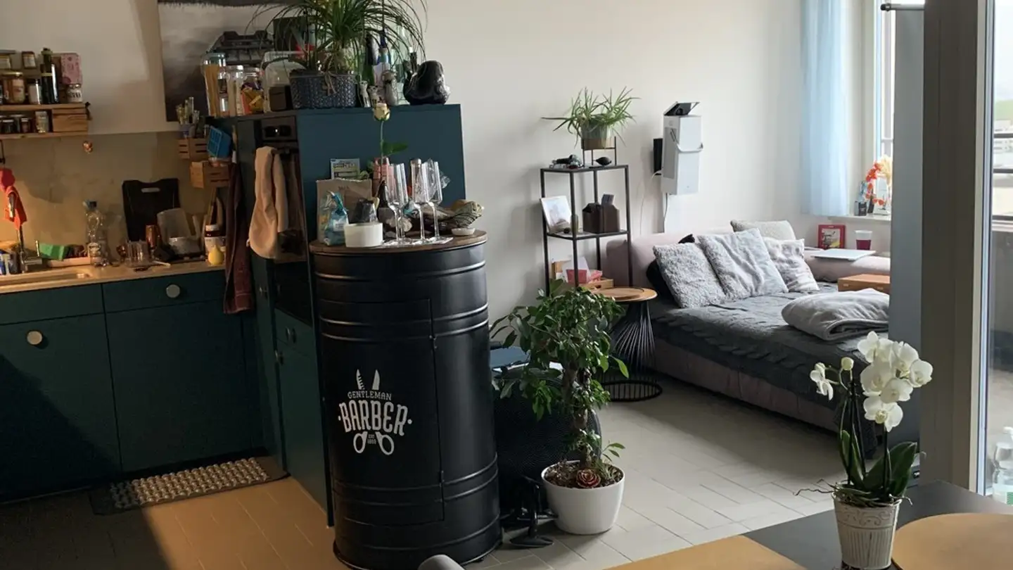 Appartement meublé à louer - Brandstrasse 1, 8952 Schlieren