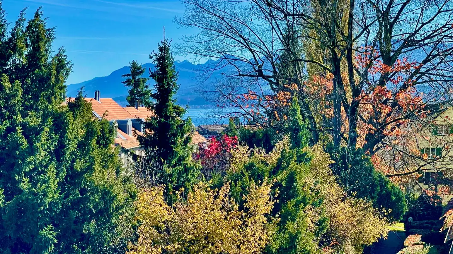 Semi-detached house for sale - Neudorfstrasse, 8820 Wädenswil