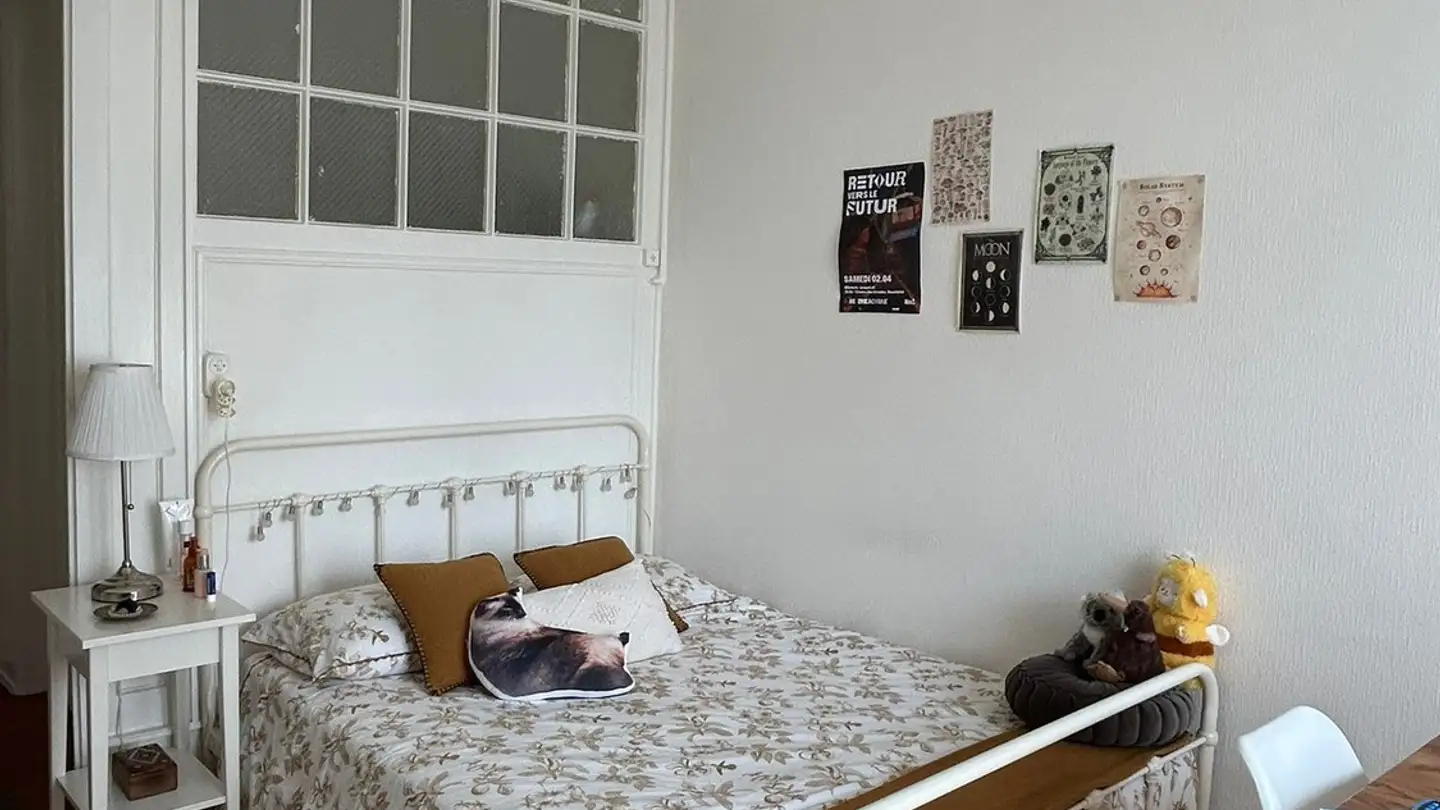 Appartamento in affitto - Route Du Signal 17, 1018 Lausanne