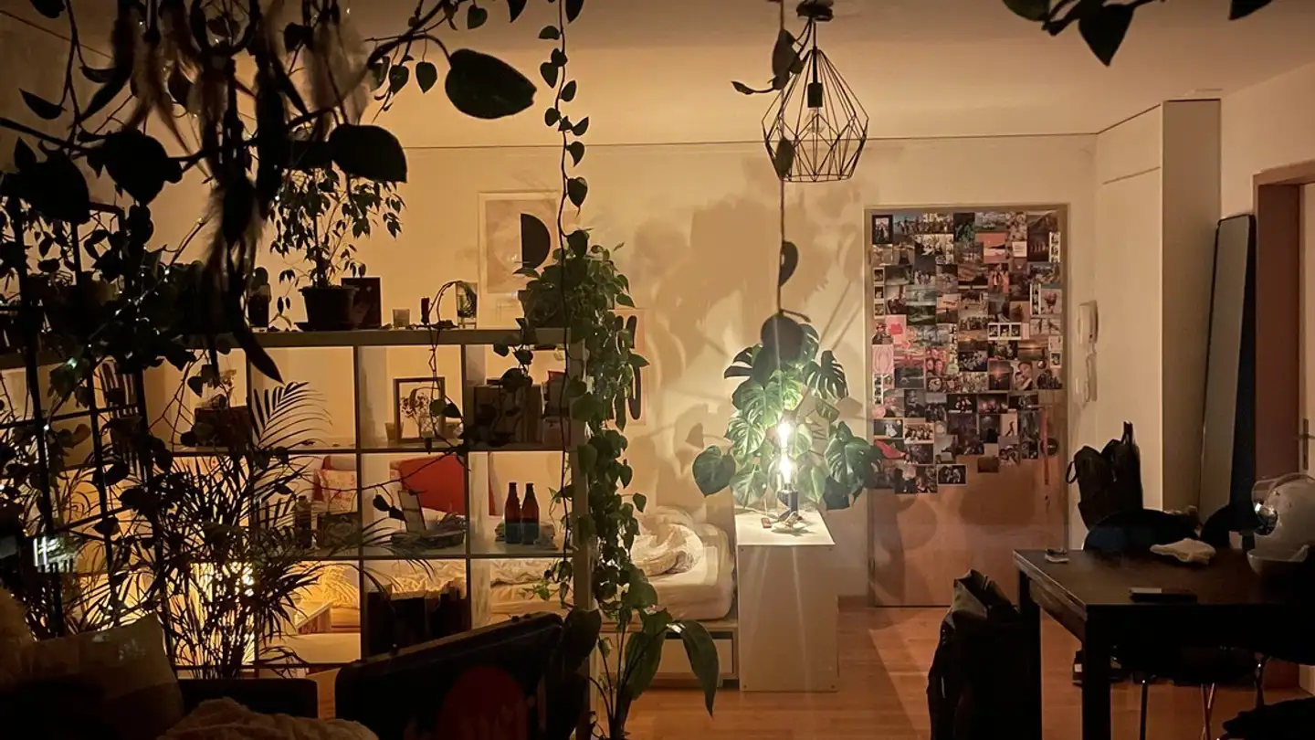 Apartment for rent - Scheibenstrasse 25, 3014 Bern