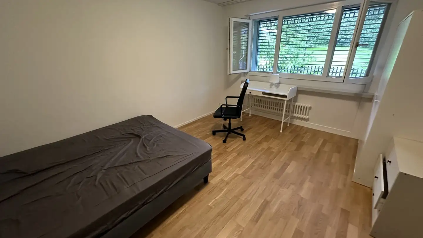 Appartamento in affitto - 8134 Adliswil