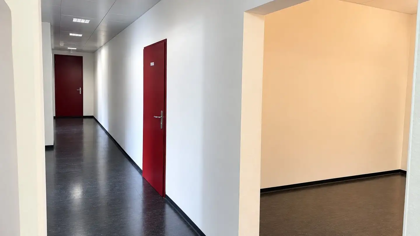 Commercial à louer - Steinbruggstrasse 21, 8165 Oberweningen - Photo 2