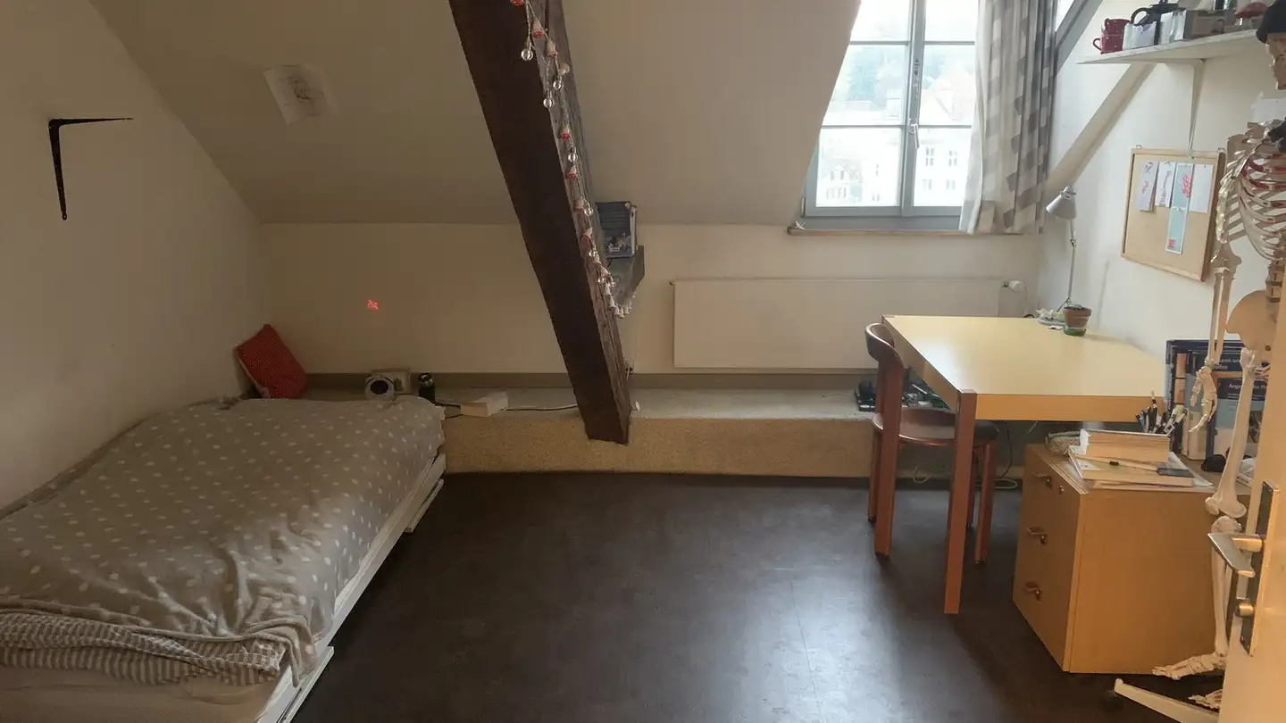 Single room for rent - Technikumstrasse 36, 8400 Winterthur