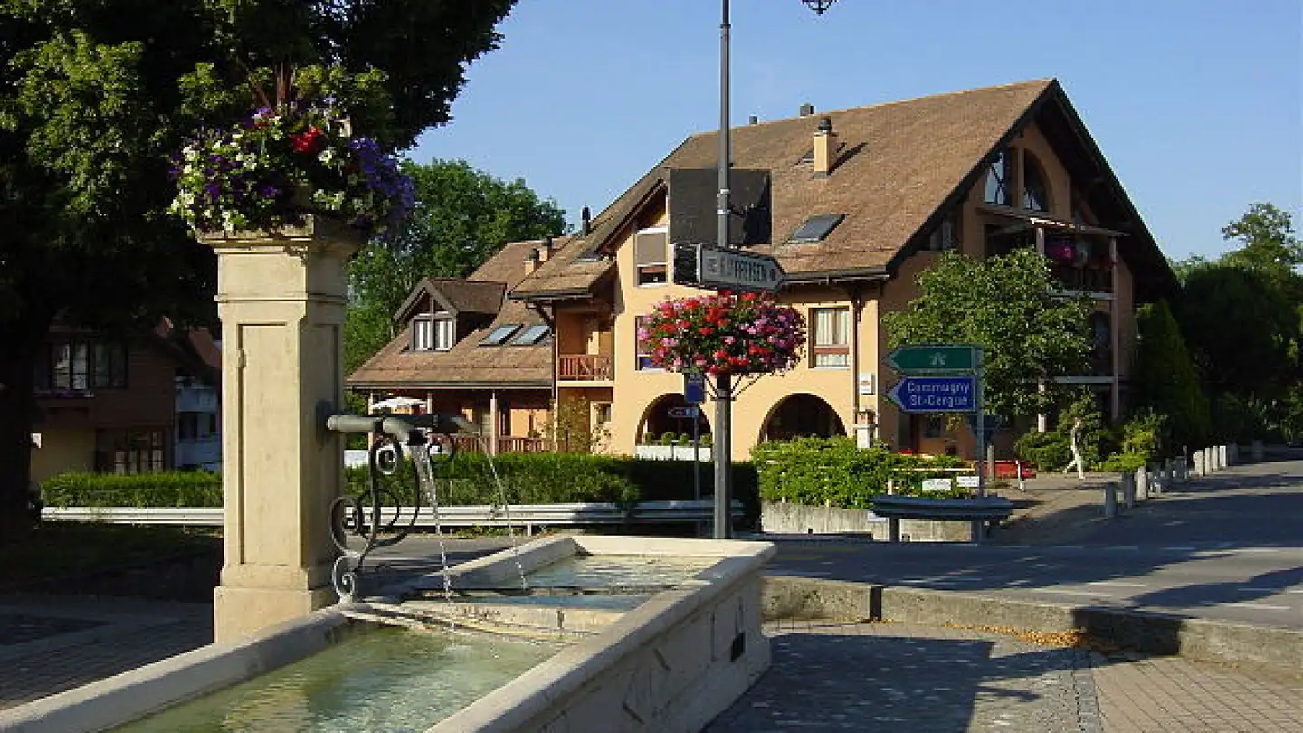 Wohnung mieten - Chemin De La Faverge 8, 1295 Mies