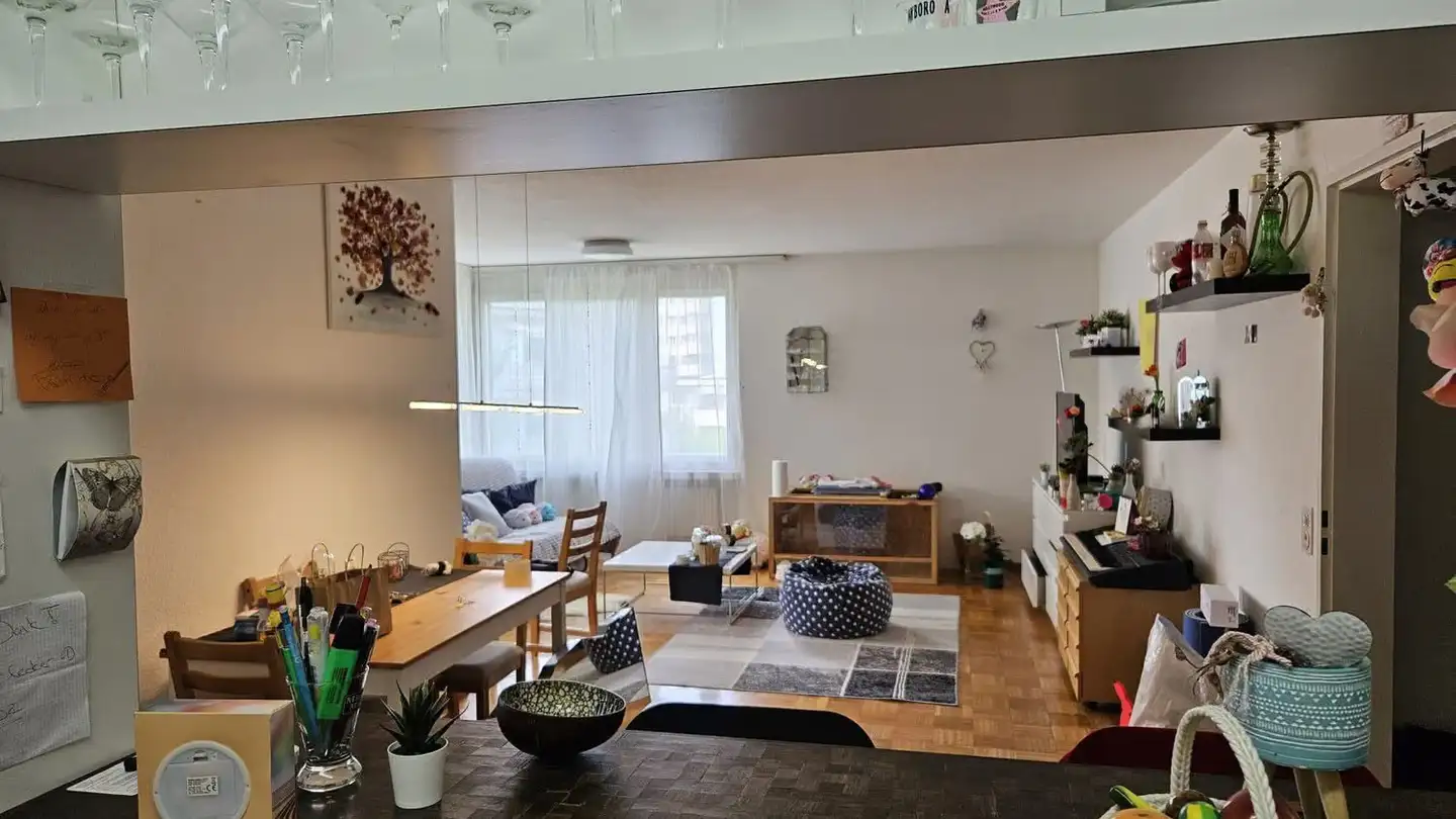 Appartamento in affitto - Triemlistrasse 141, 8047 Zürich - Foto 2