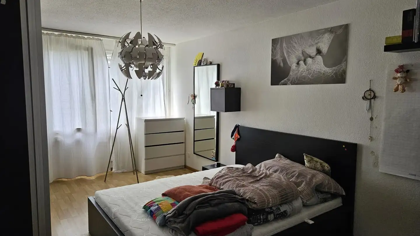 Appartamento in affitto - Triemlistrasse 141, 8047 Zürich - Foto 4